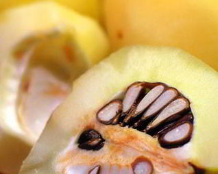 Омлет с айвой