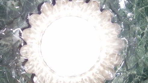 желированный паштет с сыром