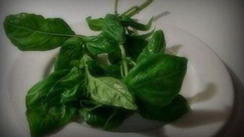 помидоры с сыром моцарелла