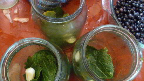 помидоры с виноградом и сладким перцем