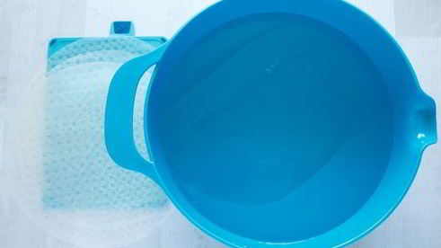 спринг-роллы с кальмарами и тунцом