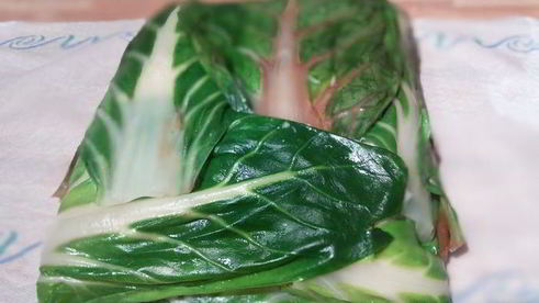 разноцветный рулет из лососевой форели