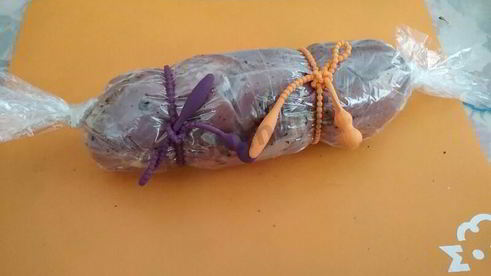 рулет из бедра индейки с черносливом и курагой