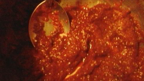 рулет мозаика