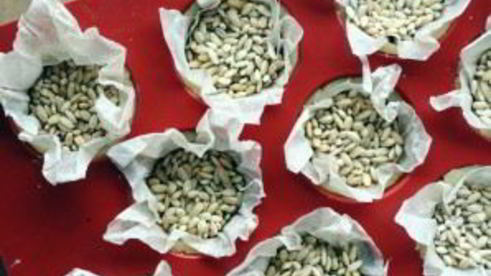 тарталетки с морковью сладкие