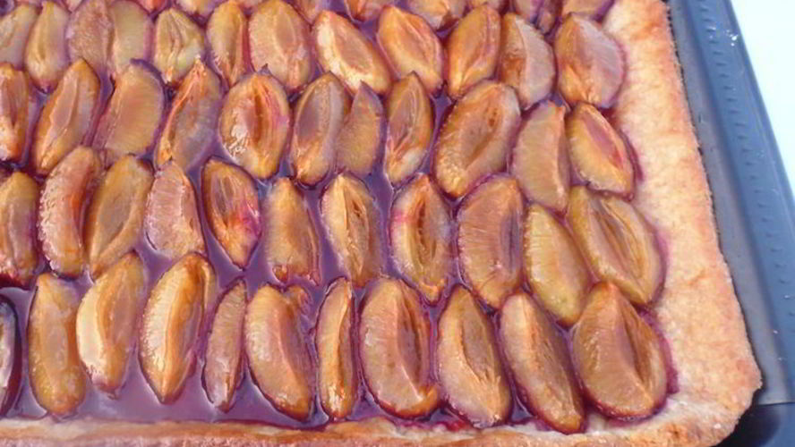 Рецепт сливового тарта на творожном тесте