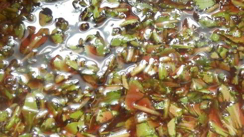 тарт с ежевикой, ревенем и руколой