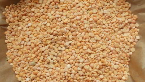 тарт с ежевикой, ревенем и руколой