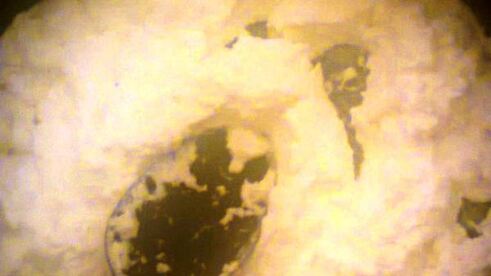 глазунья с творогом