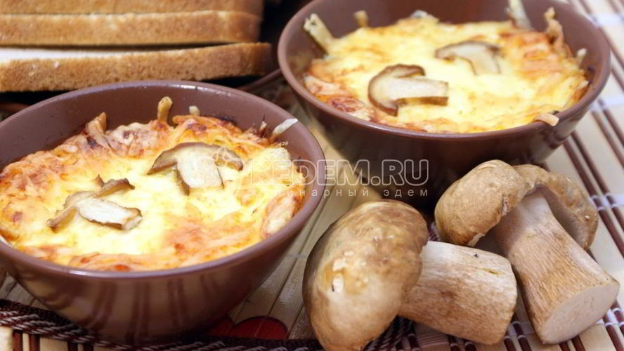 Рецепт жульена из белых грибов